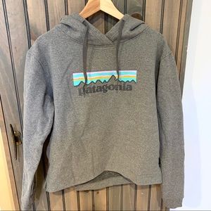 Patagonia sweatshirt